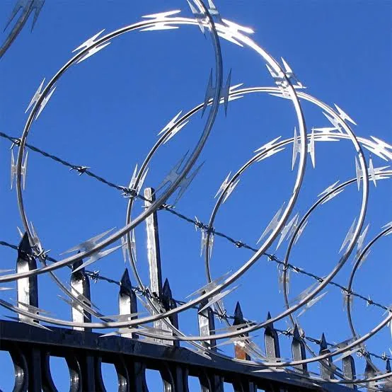 Razor wire installed above a high-security steel gate
