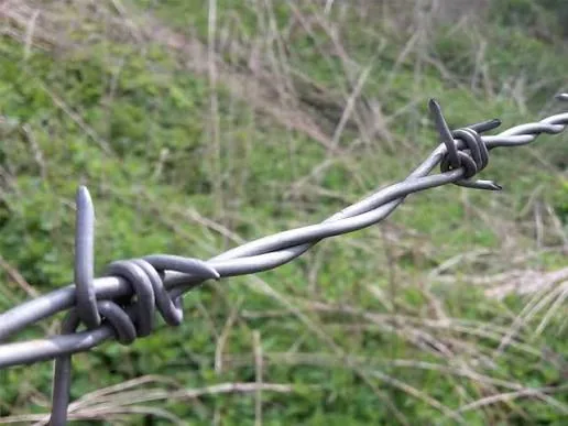 Close view of twisted galvanised wire and spaced sharp barbs