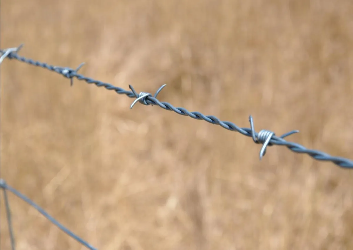 Galvanised barbed wire running across a rural boundary