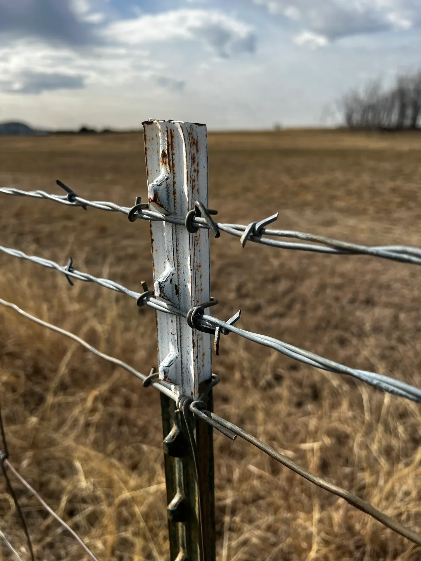 Barbed-wire agricultural boundary installation